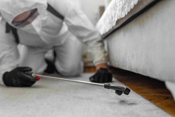 Professional Cockroach Control technician working in Kern County County, CA